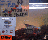 �D�������t�����[�z�[��